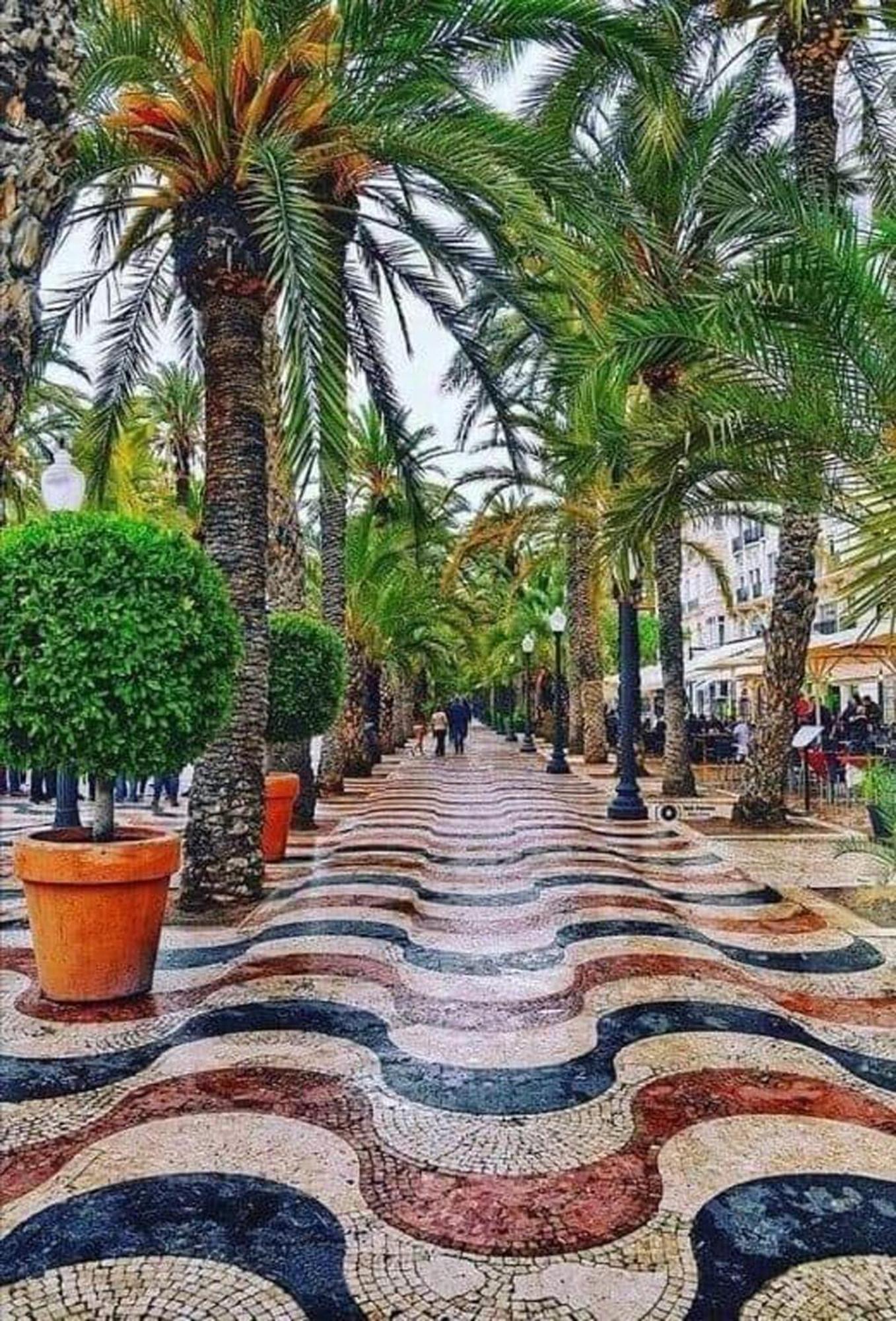 -Saint Thomas- Alicante Old Town Exteriör bild